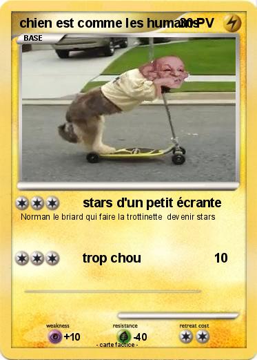 Pokemon chien est comme les humains