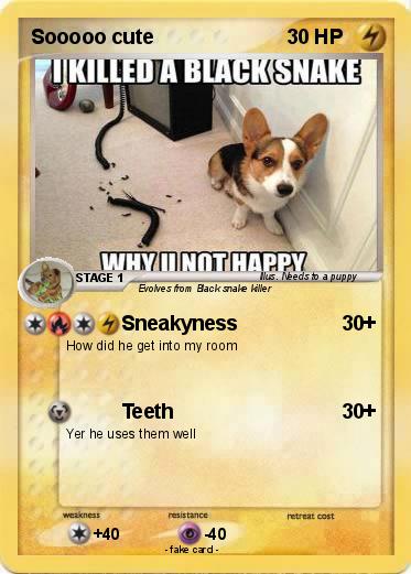 Pokemon Sooooo cute