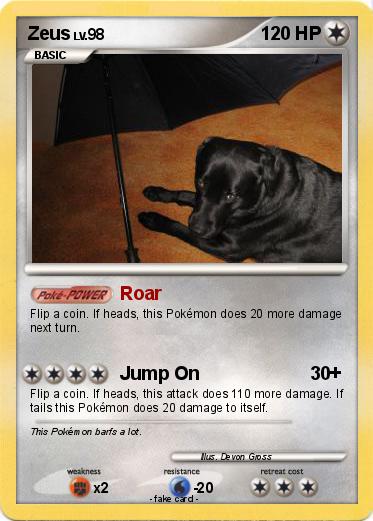 Pokemon Zeus