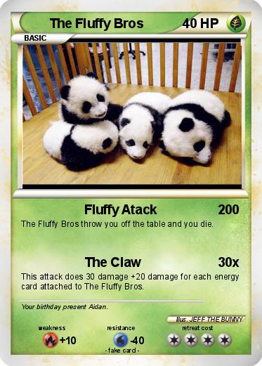 Pokemon The Fluffy Bros