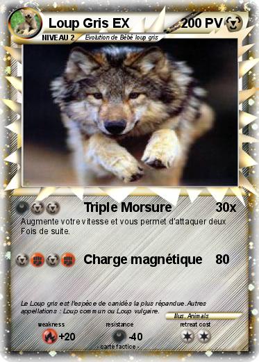 Pokemon Loup Gris EX
