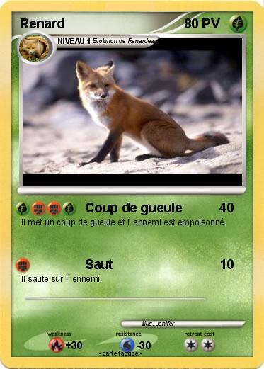 Pokemon Renard