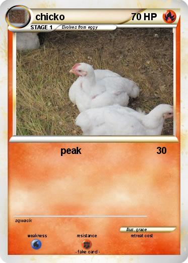 Pokemon chicko