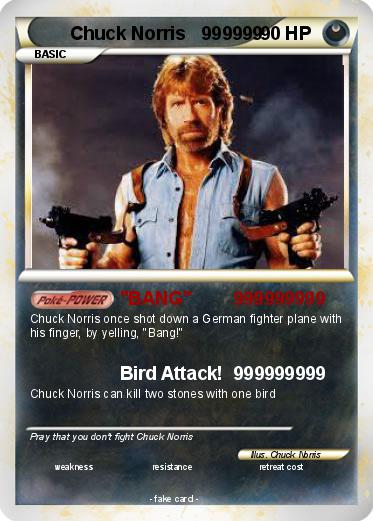 Pokemon Chuck Norris   999999
