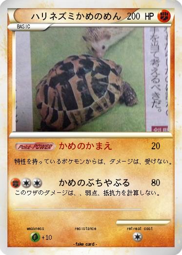 Pokemon ハリネズミかめのめん