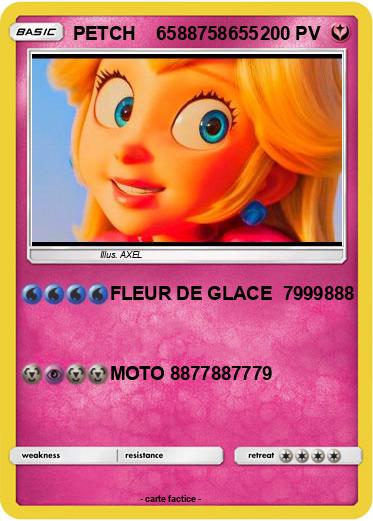 Pokemon PETCH    6588758655