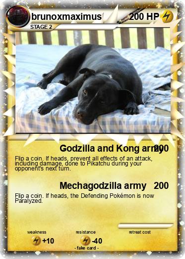 Pokemon brunoxmaximus