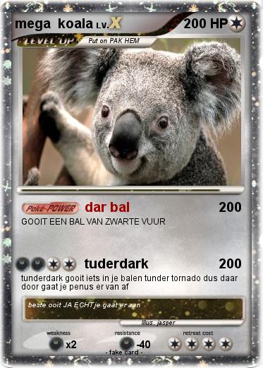 Pokemon mega  koala