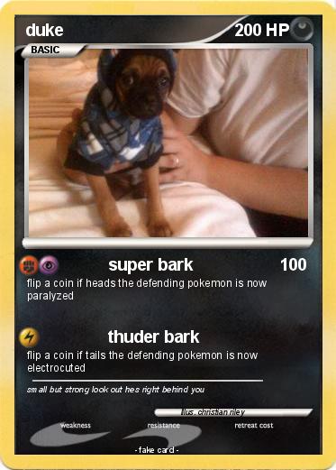 Pokemon duke