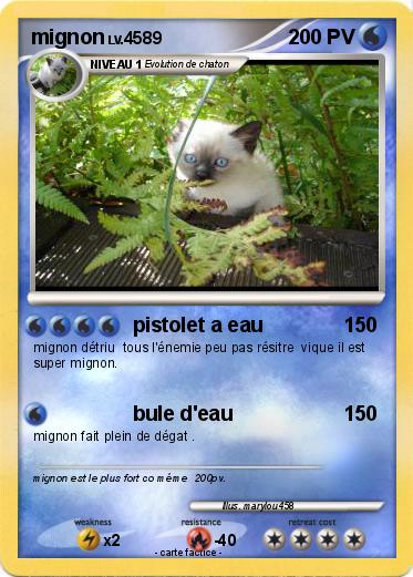 Pokemon mignon