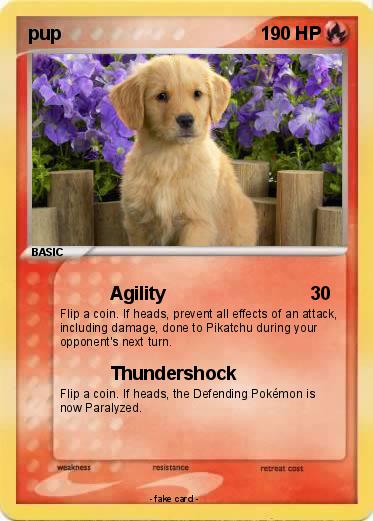Pokemon pup