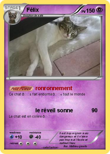 Pokemon Félix