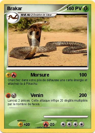 Pokemon Brakar