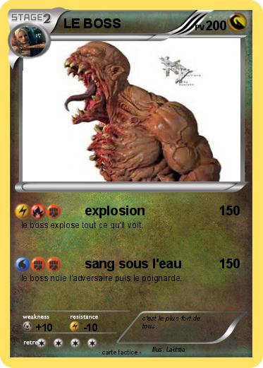 Pokemon LE BOSS