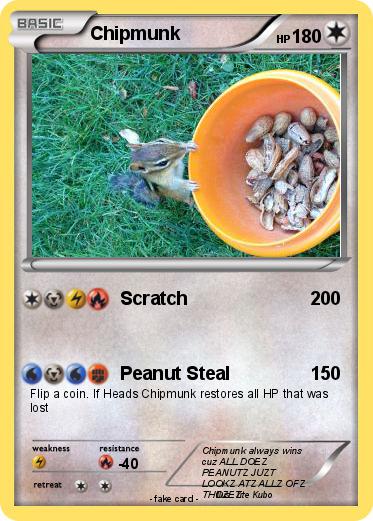 Pokemon Chipmunk