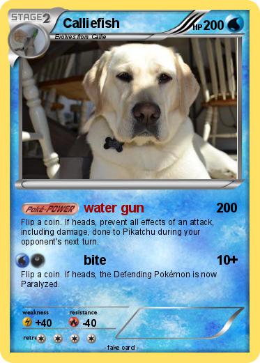 Pokemon Calliefish