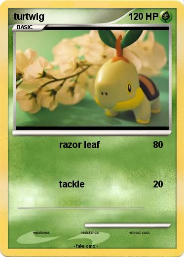 Pokemon turtwig