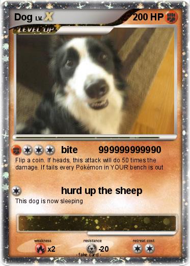 Pokemon Dog
