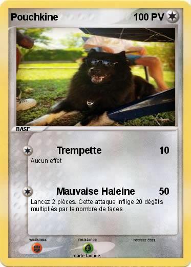 Pokemon Pouchkine