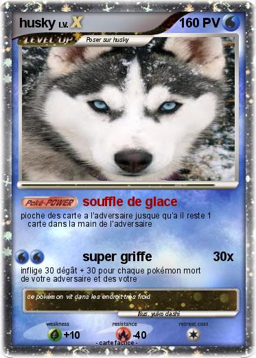 Pokemon husky