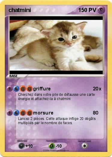 Pokemon chatmini