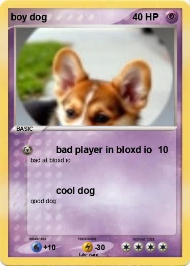 Pokemon boy dog