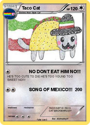 Pokemon Taco Cat