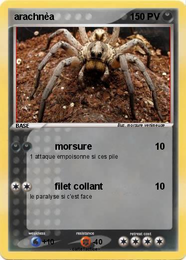 Pokemon arachnèa
