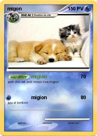Pokemon migon