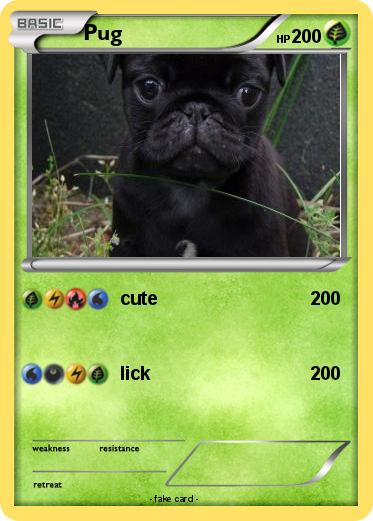 Pokemon Pug