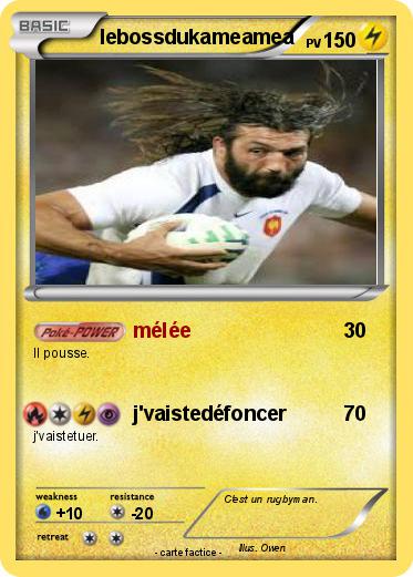 Pokemon lebossdukameamea