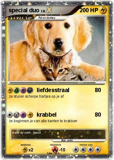 Pokemon special duo