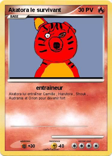 Pokemon Akatora le survivant