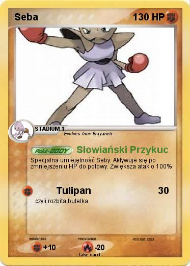 Pokemon Seba