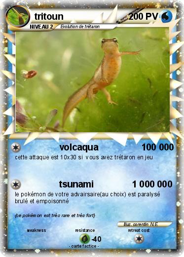 Pokemon tritoun