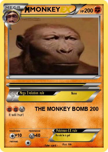 Pokemon MONKEY