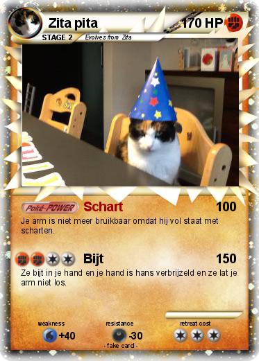Pokemon Zita pita
