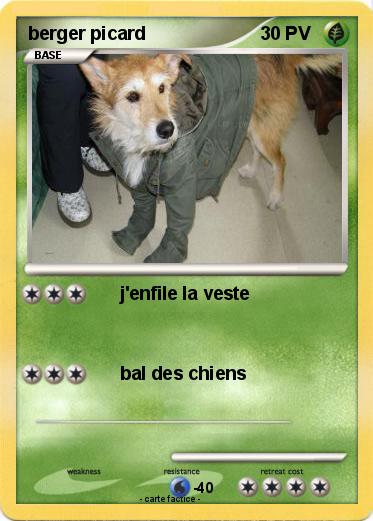 Pokemon berger picard