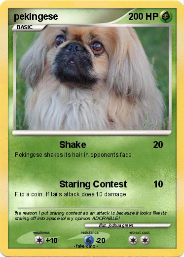 Pokemon pekingese