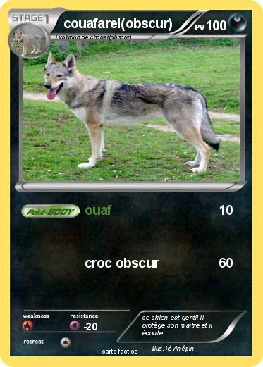 Pokemon couafarel(obscur)