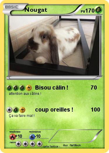Pokemon Nougat