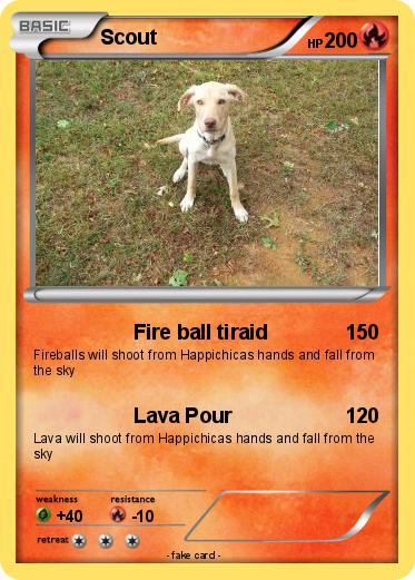 Pokemon Scout
