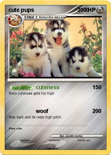 Pokemon cute pups                                  0