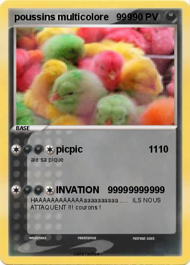 Pokemon poussins multicolore   999