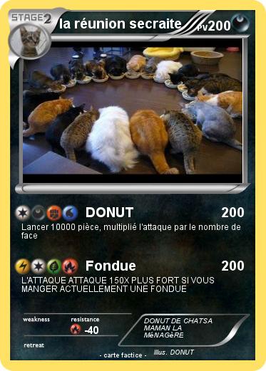 Pokemon la réunion secraite
