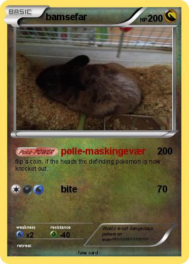 Pokemon bamsefar
