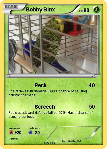 Pokemon Bobby Binx
