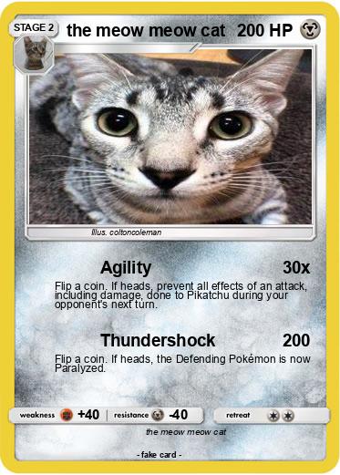 Pokemon the meow meow cat
