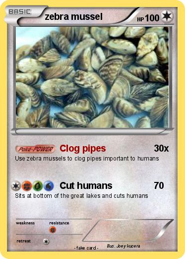 Pokemon zebra mussel