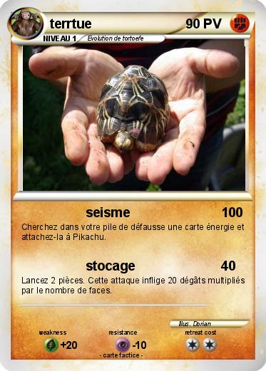 Pokemon terrtue